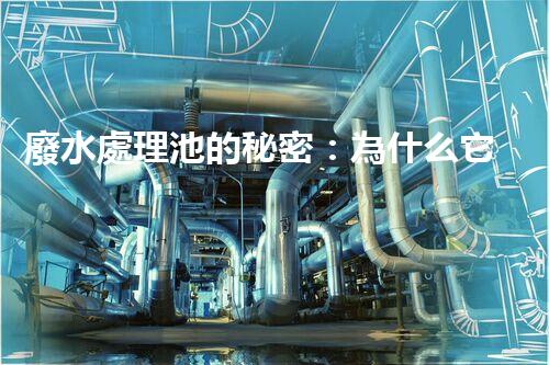 廢水處理池的秘密：為什么它能讓廢水變清？